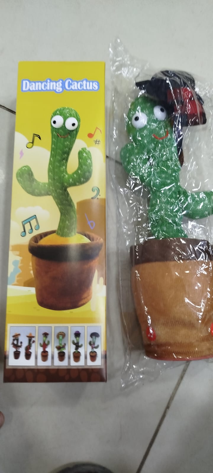 A Talking Cactus Toy